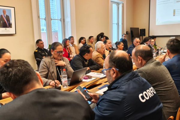 CODEIPA aprueba por unanimidad nueve acuerdos para el desarrollo de Rapa Nui